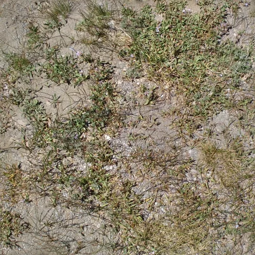Grassand Stone main texture preview
