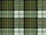 S S Plaid T main texture preview