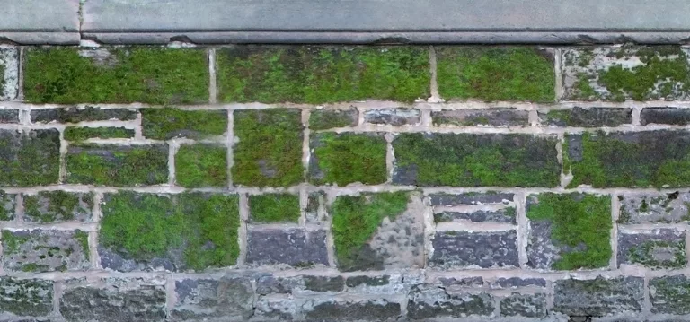 Wall Stone Moss main texture preview