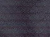S S Blueskin main texture preview