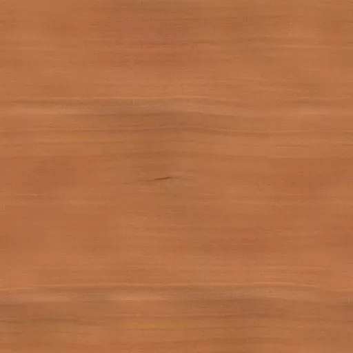 005Alisier main texture preview