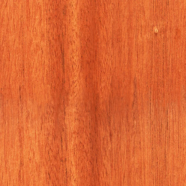 Wood Belizan Mahognay Pxr128 Cc By By Pixar main texture preview