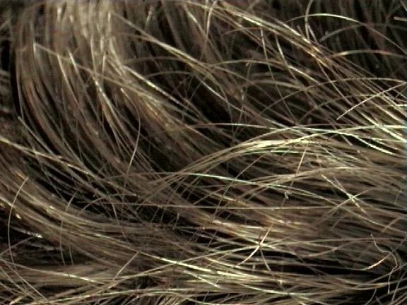 Hair1 main texture preview