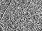 S S Ridges main texture preview
