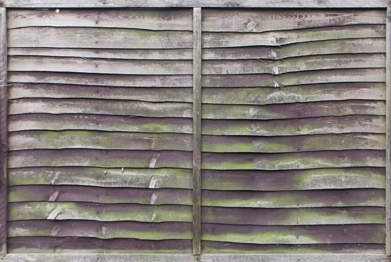 Fence Wood Trellis3 main texture preview