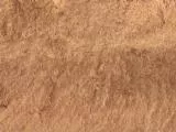 S S Tanrock main texture preview