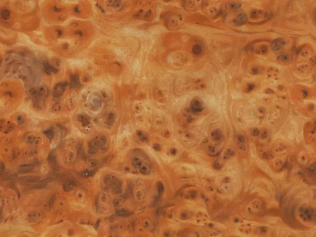 Wood08L main texture preview