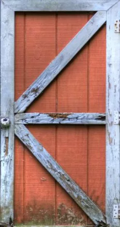 Barn Door Panel main texture preview