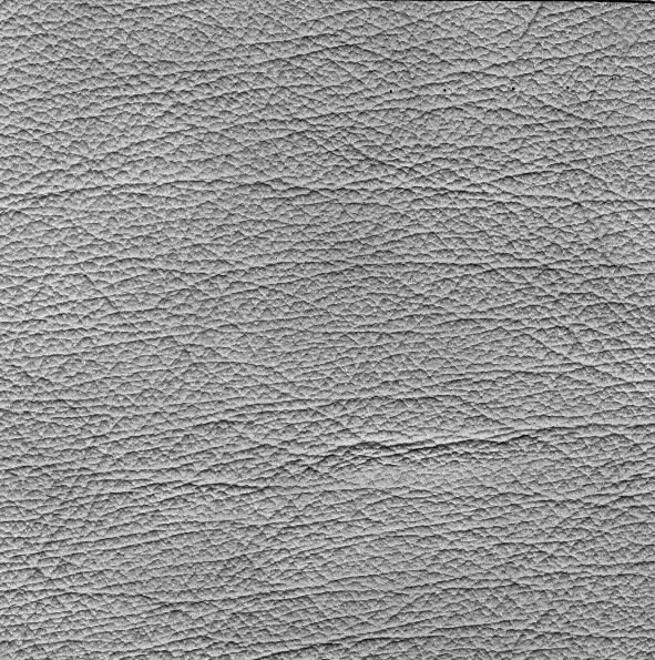 Buffalo main texture preview
