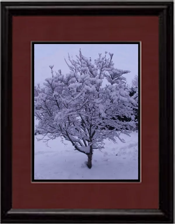 Winter House Art Snowy Picture3 main texture preview