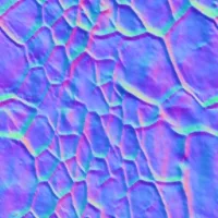 Normal Map for Turtle 1