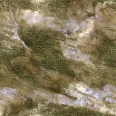 Mossy Substrate main texture preview