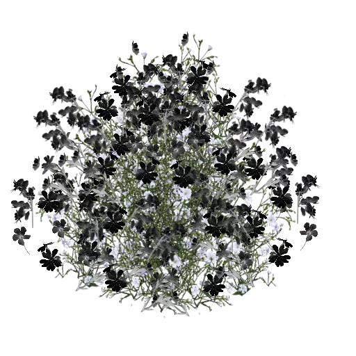 Black Delicate Flowers texture preview