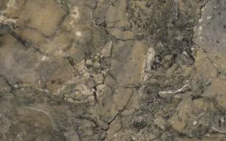 Benediti main texture preview