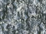 S S Natur04L main texture preview