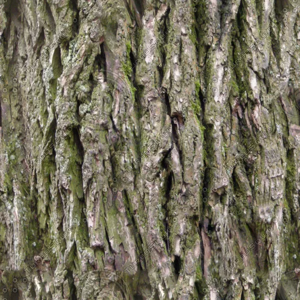 Bark main texture preview