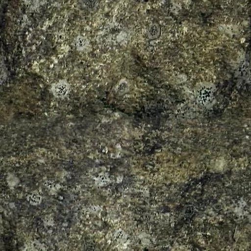 047Roche main texture preview