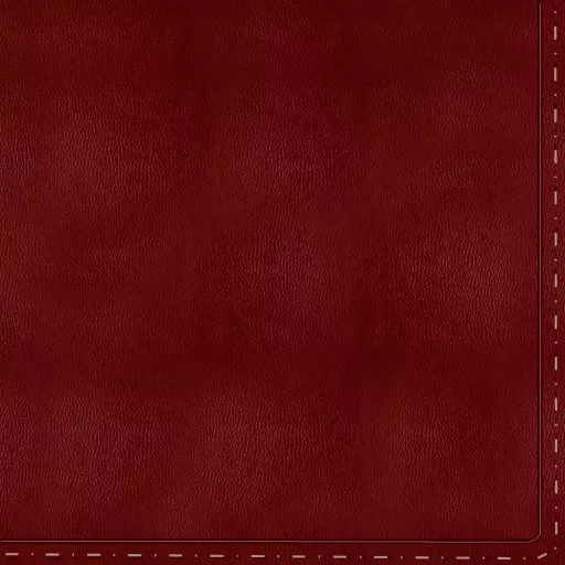 Dark Red Leather Seams 3 main texture preview