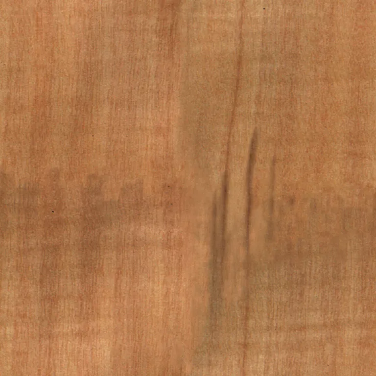 Wood Anigre Pxr128 Cc By By Pixar main texture preview