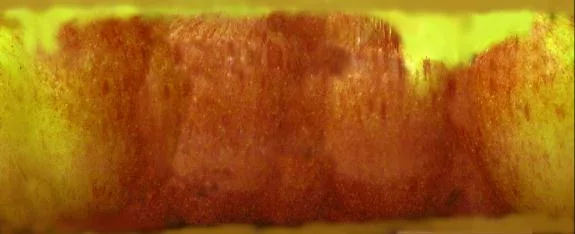 Applskin main texture preview