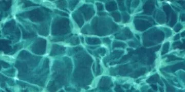 Waterpl main texture preview