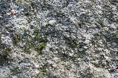 S S Img 0022 main texture preview