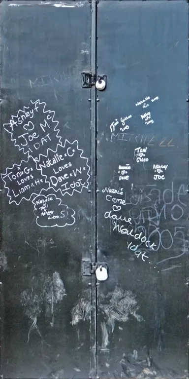 Doors Steel Black Defaced main texture preview