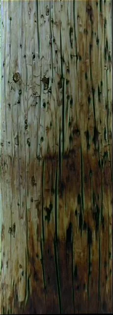 Fonepole main texture preview