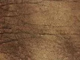 S S Hide1 main texture preview