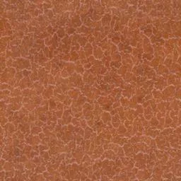 Elm Burl texture preview