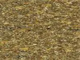 S S Birdfeed main texture preview