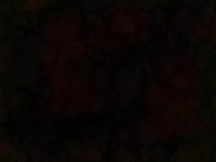 Dkmott main texture preview