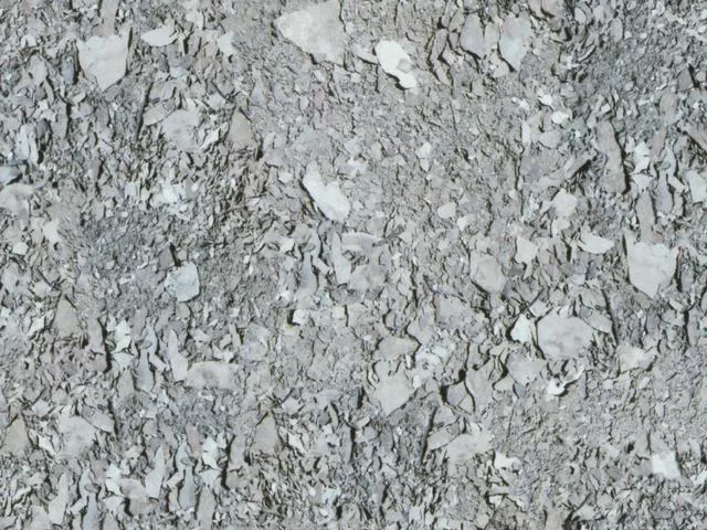 Stone06L main texture preview