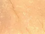 S S Botticin main texture preview