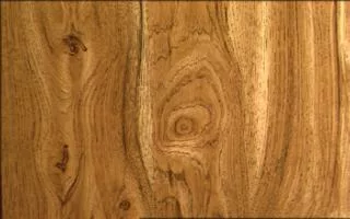 Wood Wood1 main texture preview