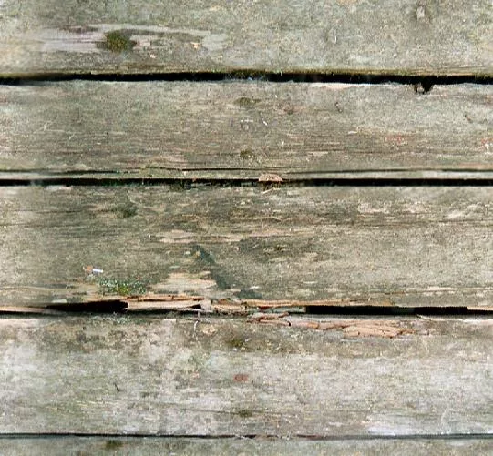 Barn1 T main texture preview