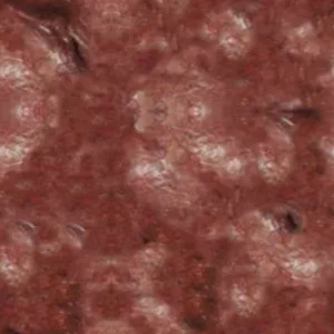 Rottingflesh main texture preview