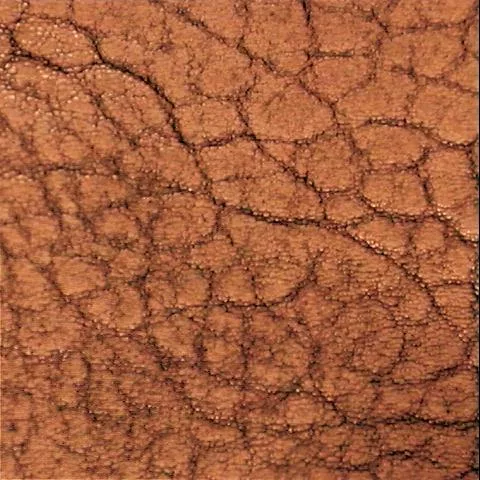 Hide2 main texture preview