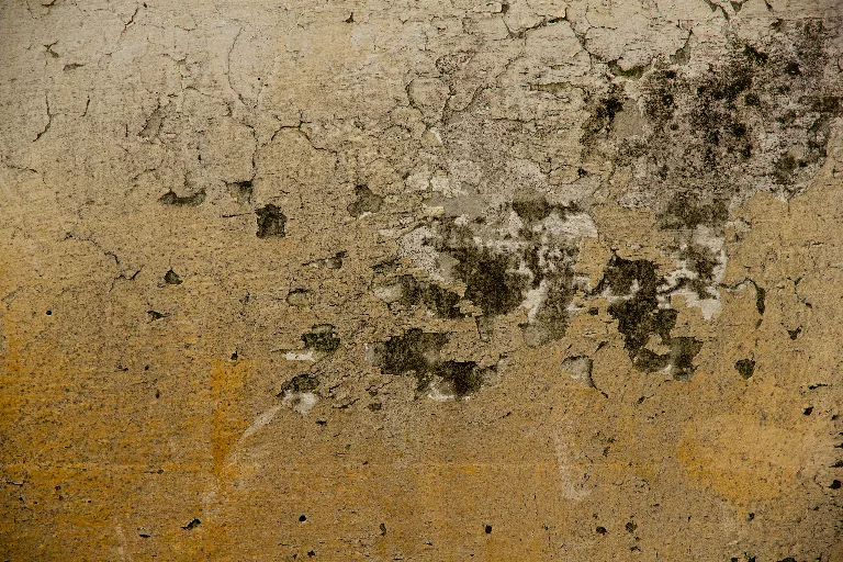 50 main texture preview