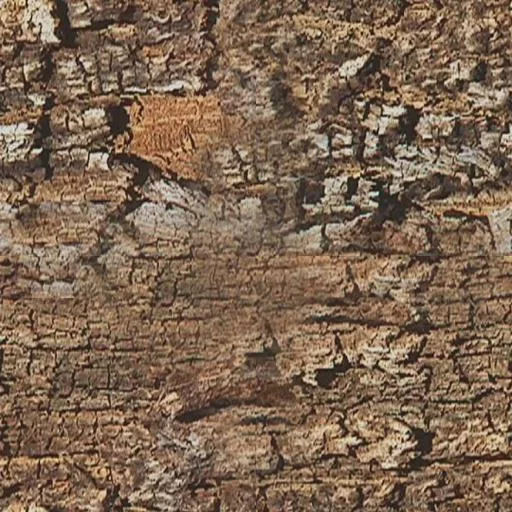010Bois main texture preview