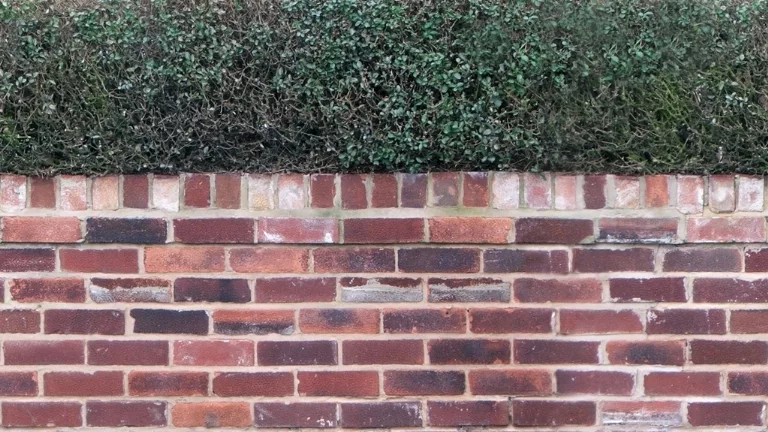 Wall Brick Privets main texture preview