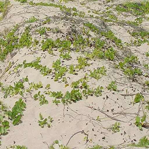 Sand 060 main texture preview