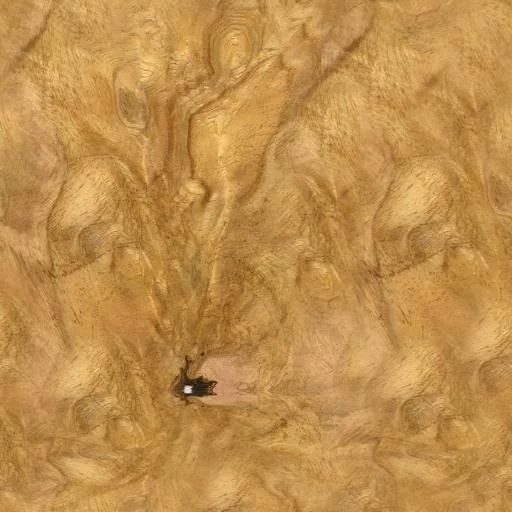 046Loupe Agba main texture preview