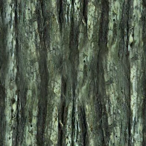 048Bois main texture preview