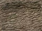 S S Barkdrk main texture preview