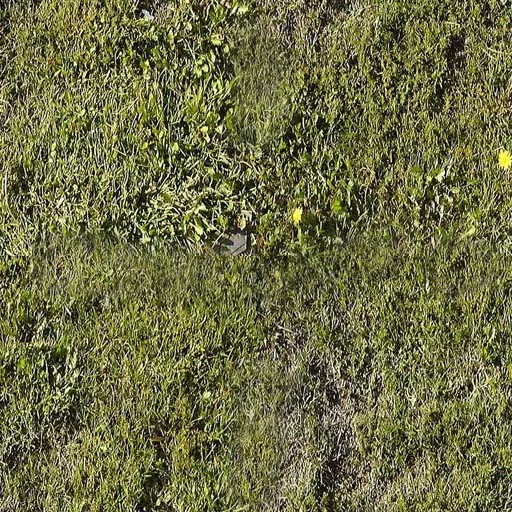 Nature070 main texture preview