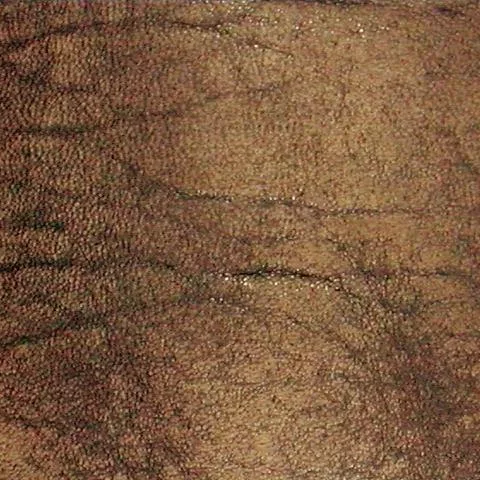 Hide1 main texture preview