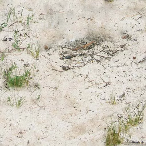Sand 009 main texture preview