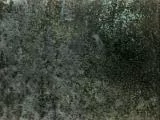 S S Mplate1 main texture preview