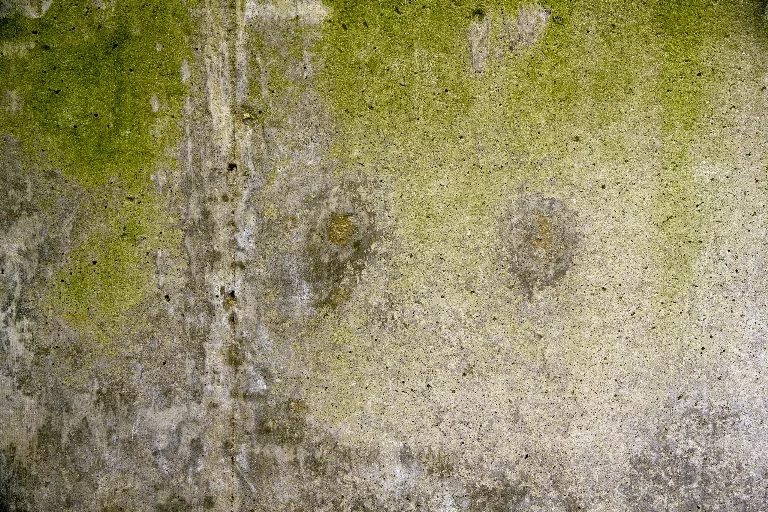 82 main texture preview